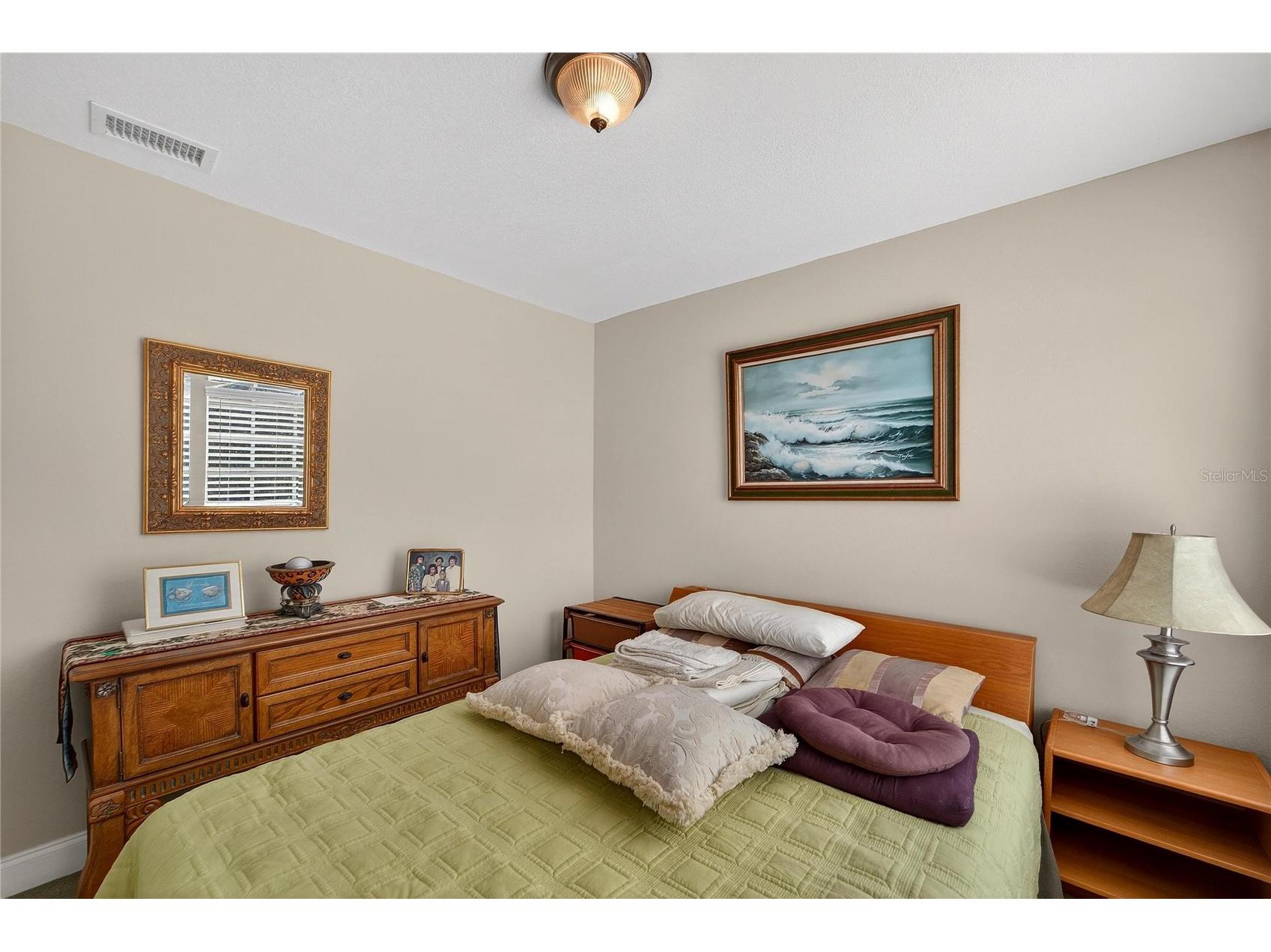 901 Shagos Drive Apollo Beach FL 33572 TB8468447 image44