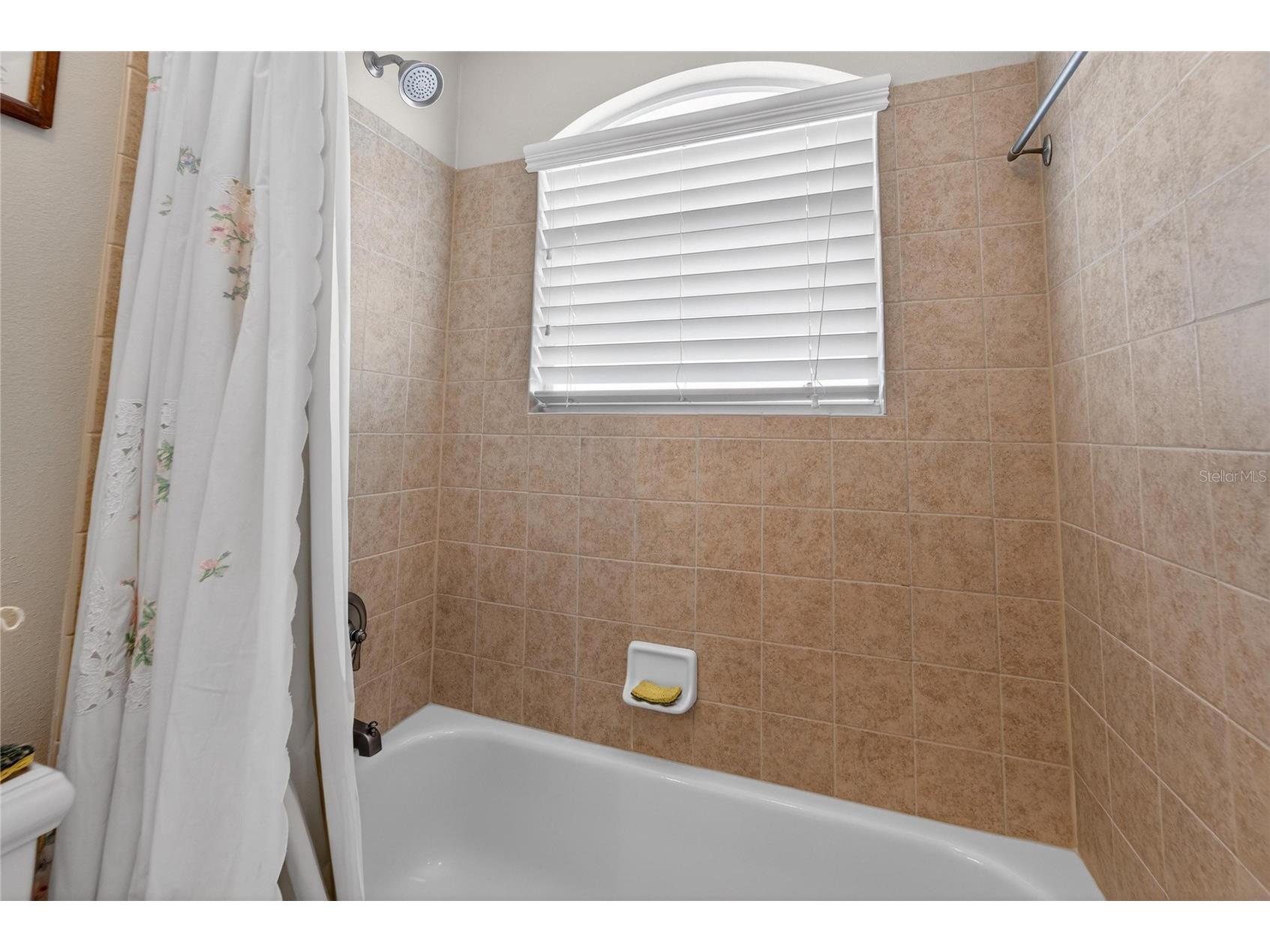 901 Shagos Drive Apollo Beach FL 33572 TB8468447 image47