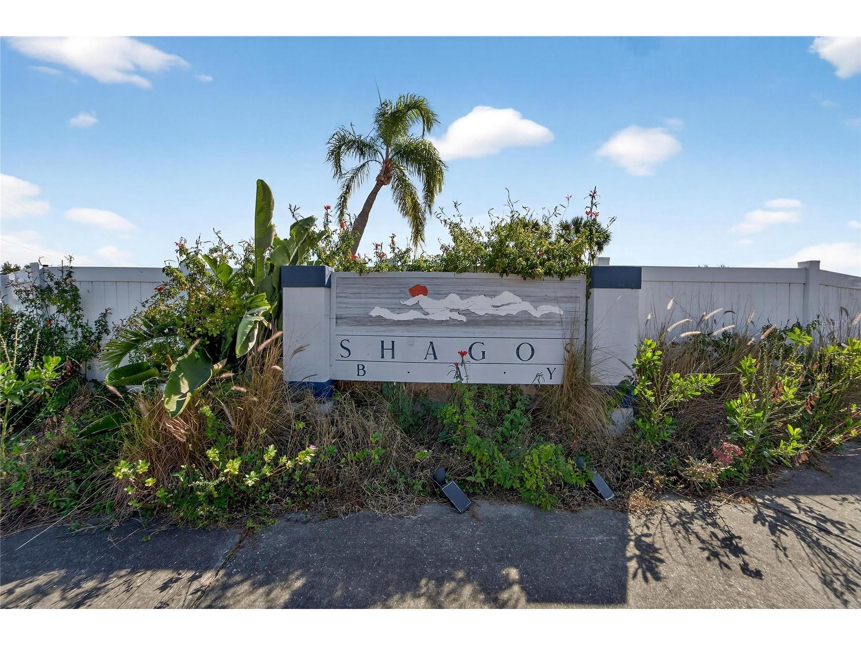 901 Shagos Drive Apollo Beach FL 33572 TB8468447 image63