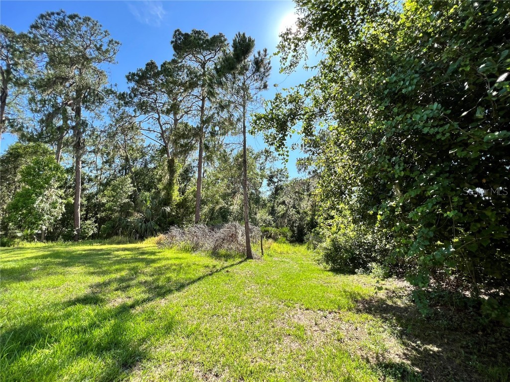 901 Shoals Landing Drive Brandon FL 33511 - ALAFIA RIVER T3500994 image1