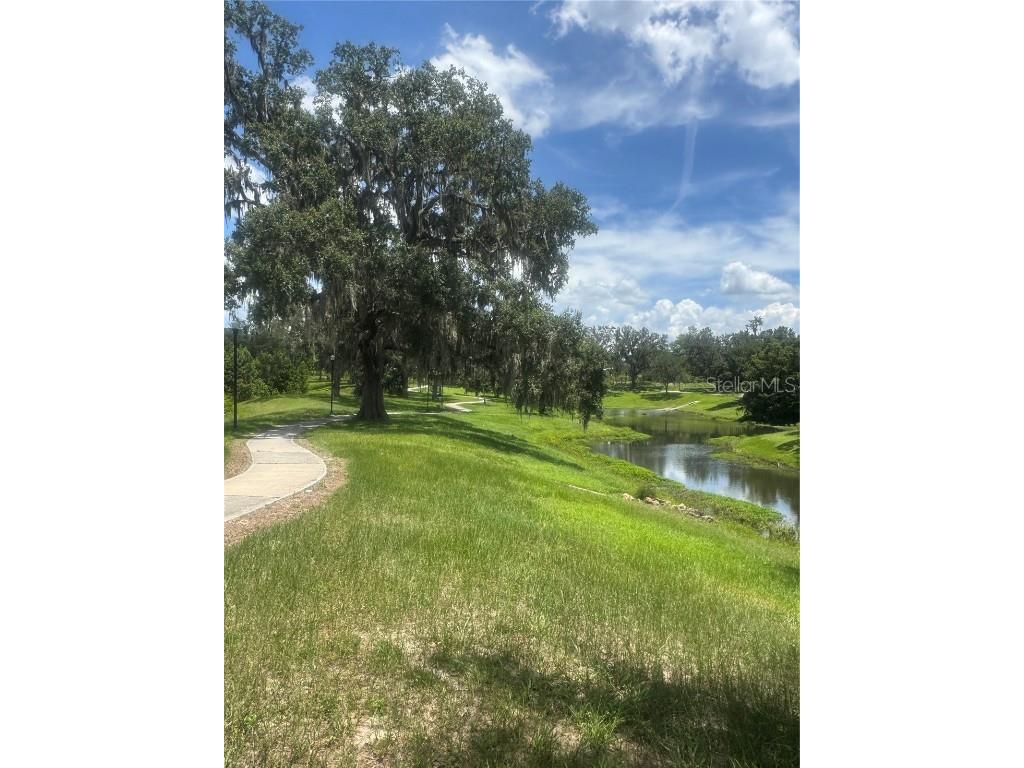 901 SW 7th Street Ocala FL 34471 OM706741 image7