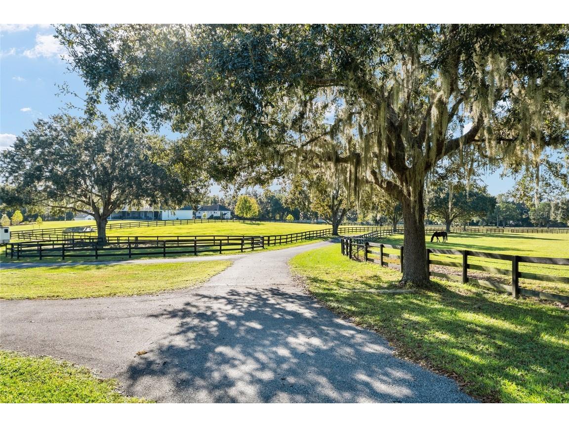 901 SW 87th Place Ocala FL 34476 OM712985 image3