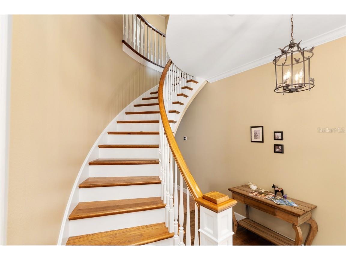 901 SW 87th Place Ocala FL 34476 OM712985 image33
