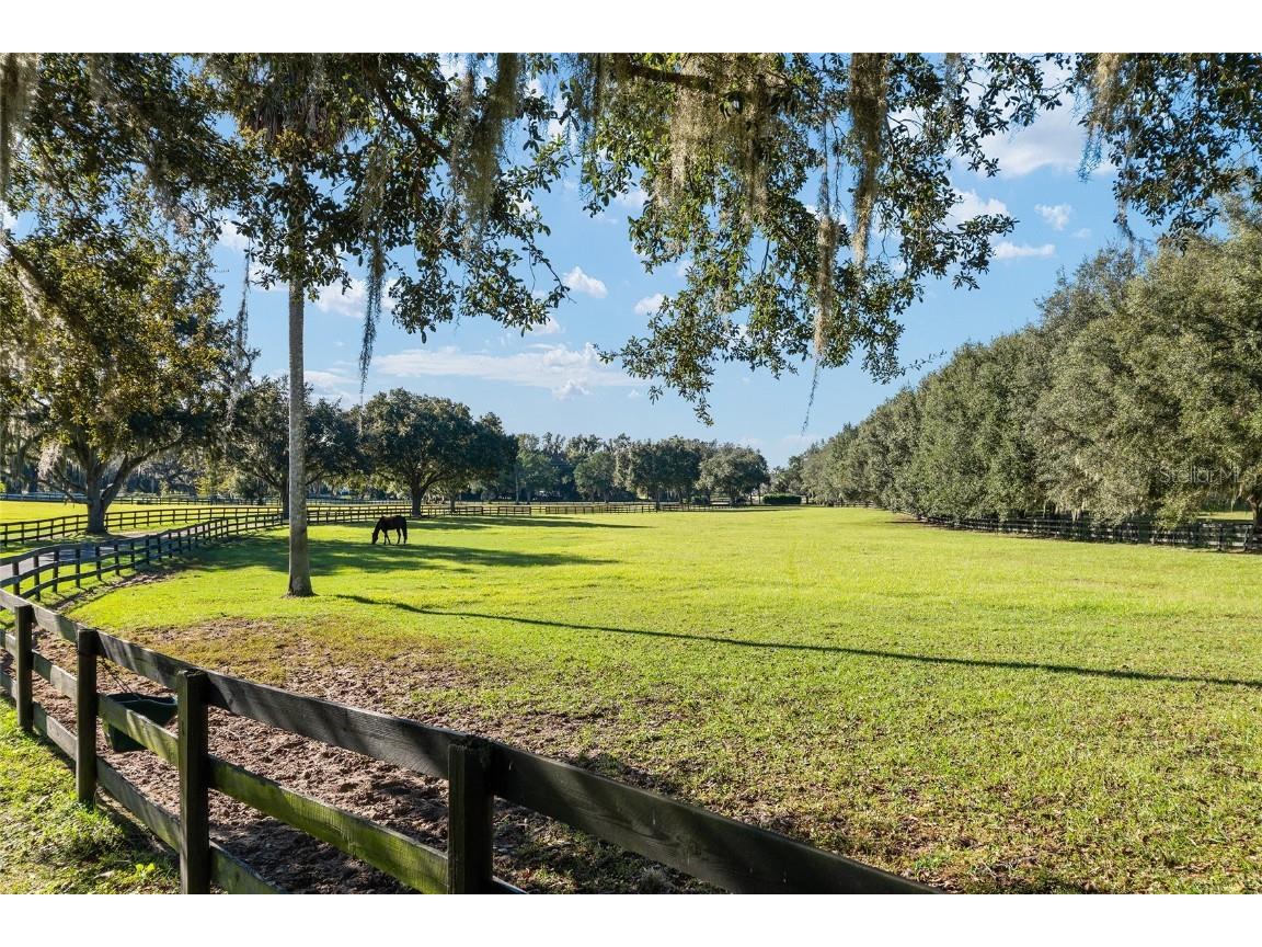 901 SW 87th Place Ocala FL 34476 OM712985 image4