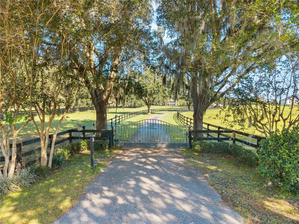 901 SW 87th Place Ocala FL 34476 OM712985 image65