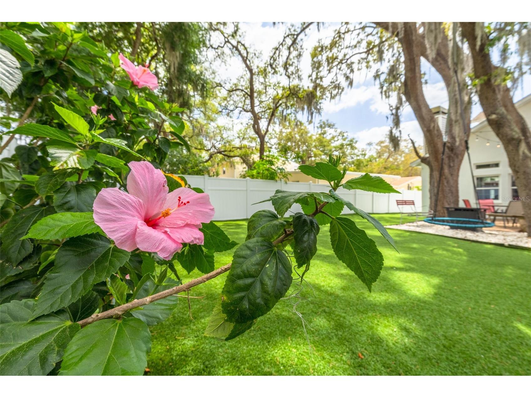 901 Virginia Avenue Tarpon Springs FL 34689 TB8497027 image3