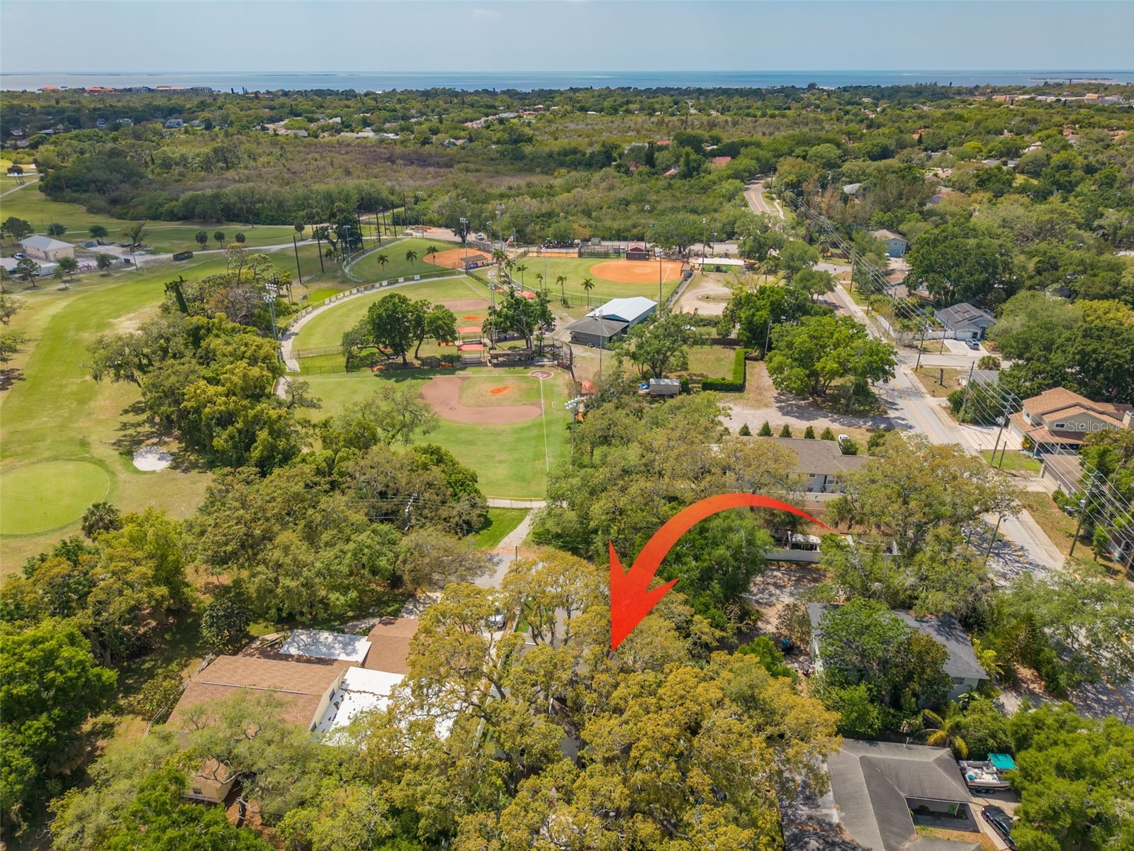 901 Virginia Avenue Tarpon Springs FL 34689 TB8497027 image36