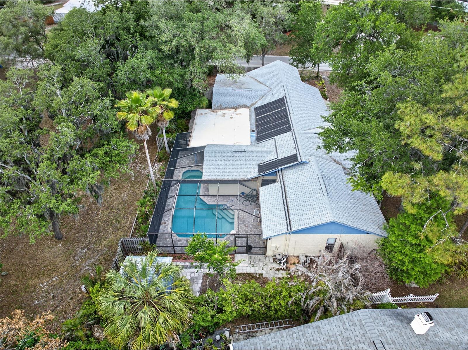901 W River Drive Temple Terrace FL 33617 TB8505695 image56