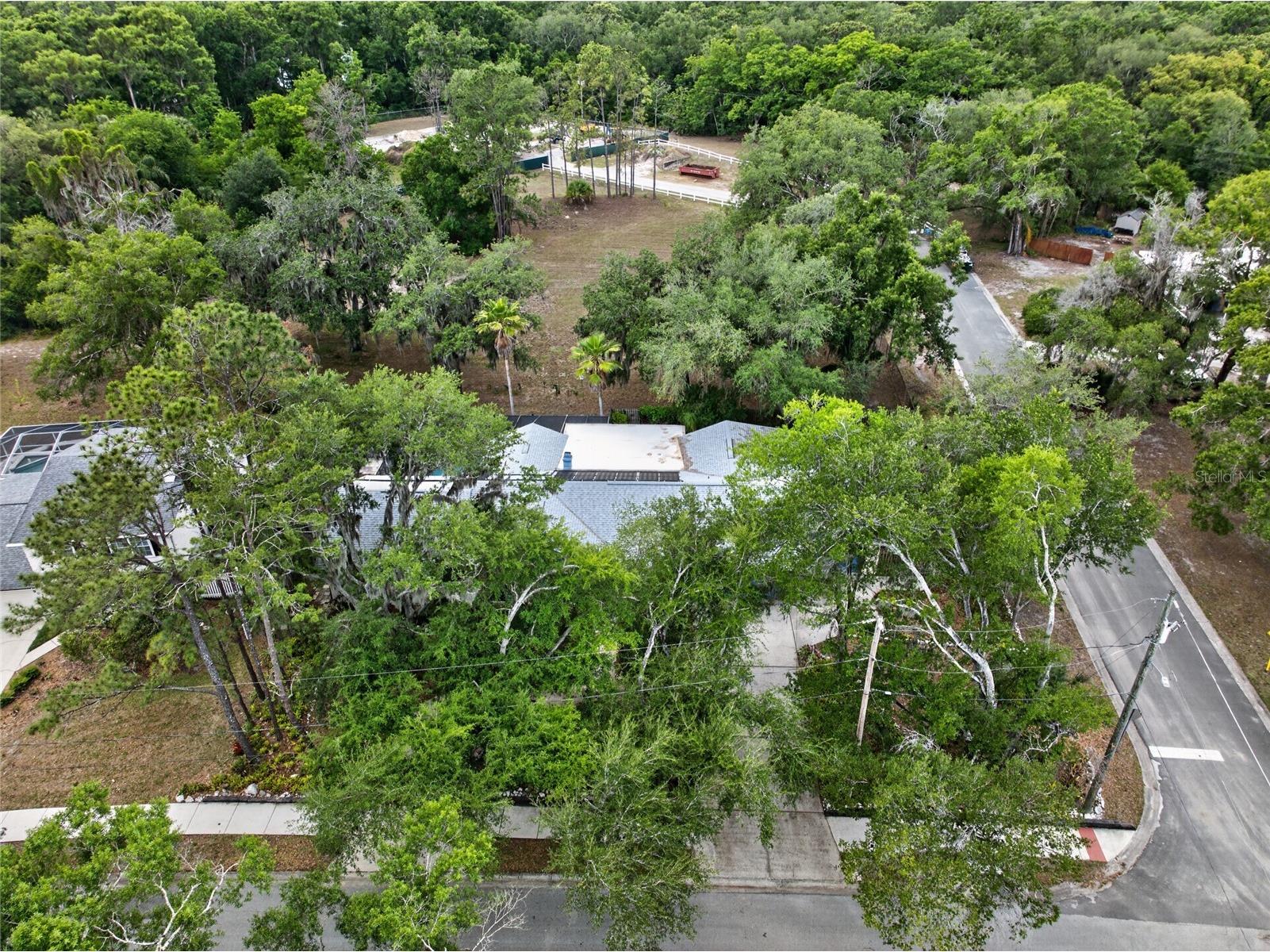 901 W River Drive Temple Terrace FL 33617 TB8505695 image58