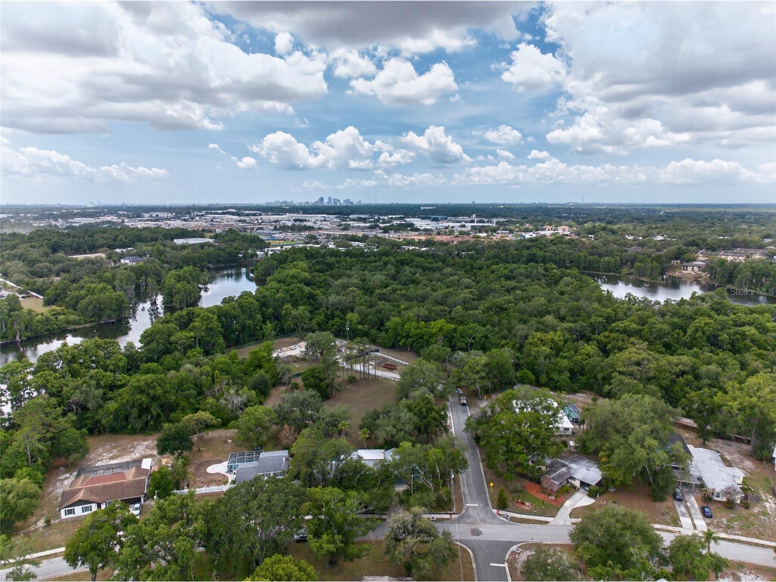 901 W River Drive Temple Terrace FL 33617 TB8505695 image59