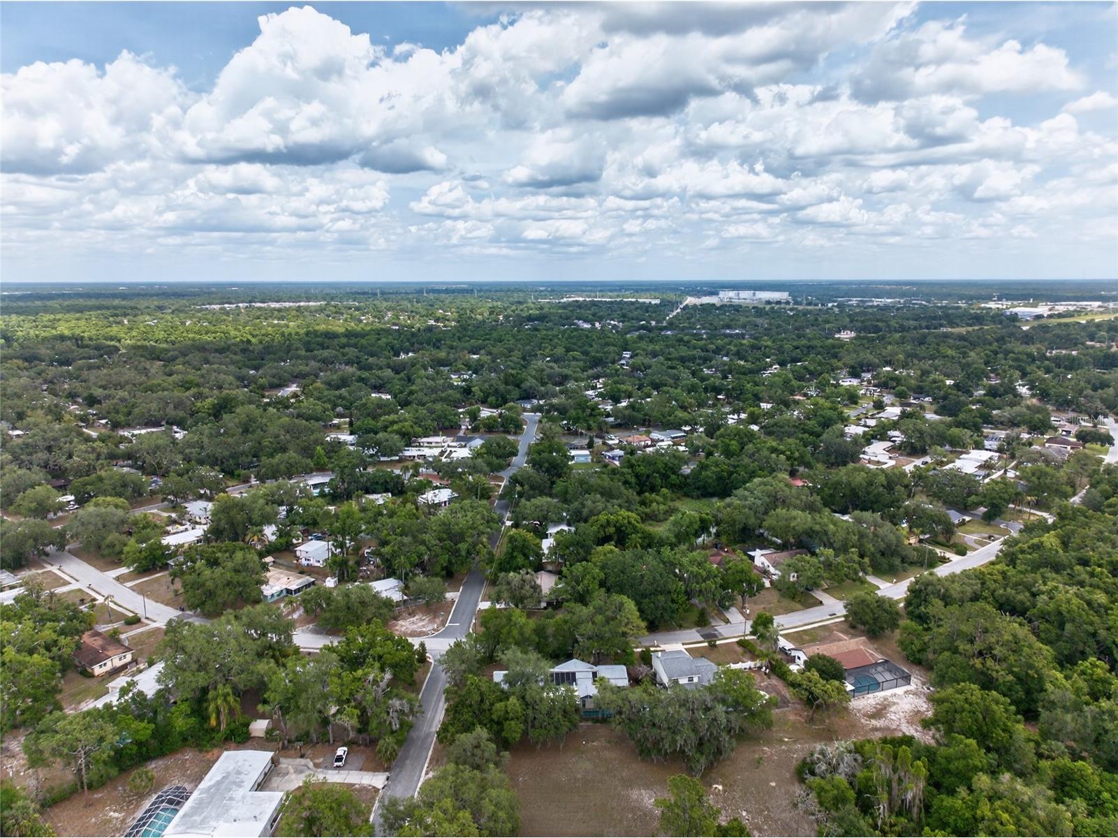 901 W River Drive Temple Terrace FL 33617 TB8505695 image61