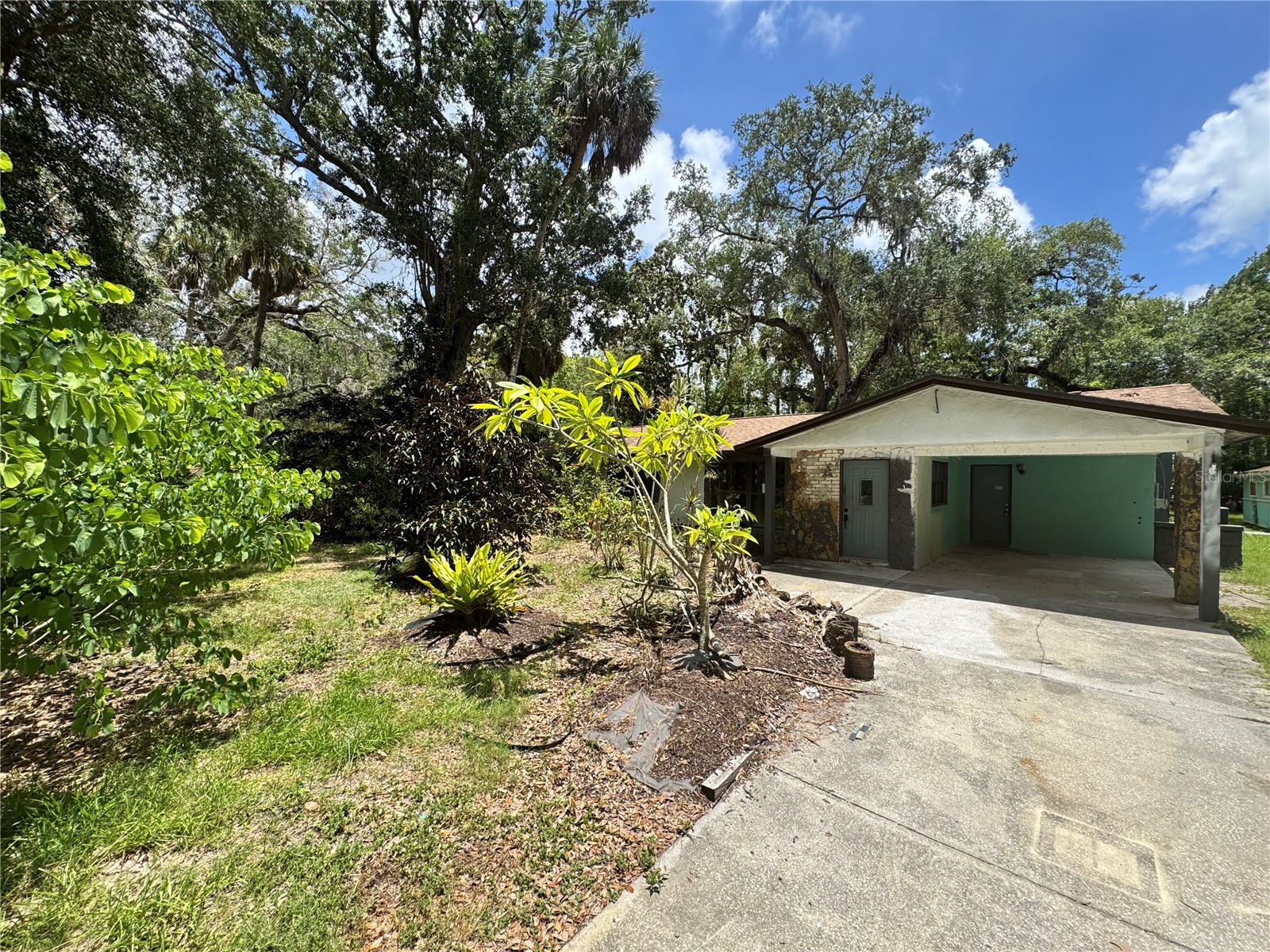 9010 Maiden Lane Aripeka FL 34679 TB8520038 image1