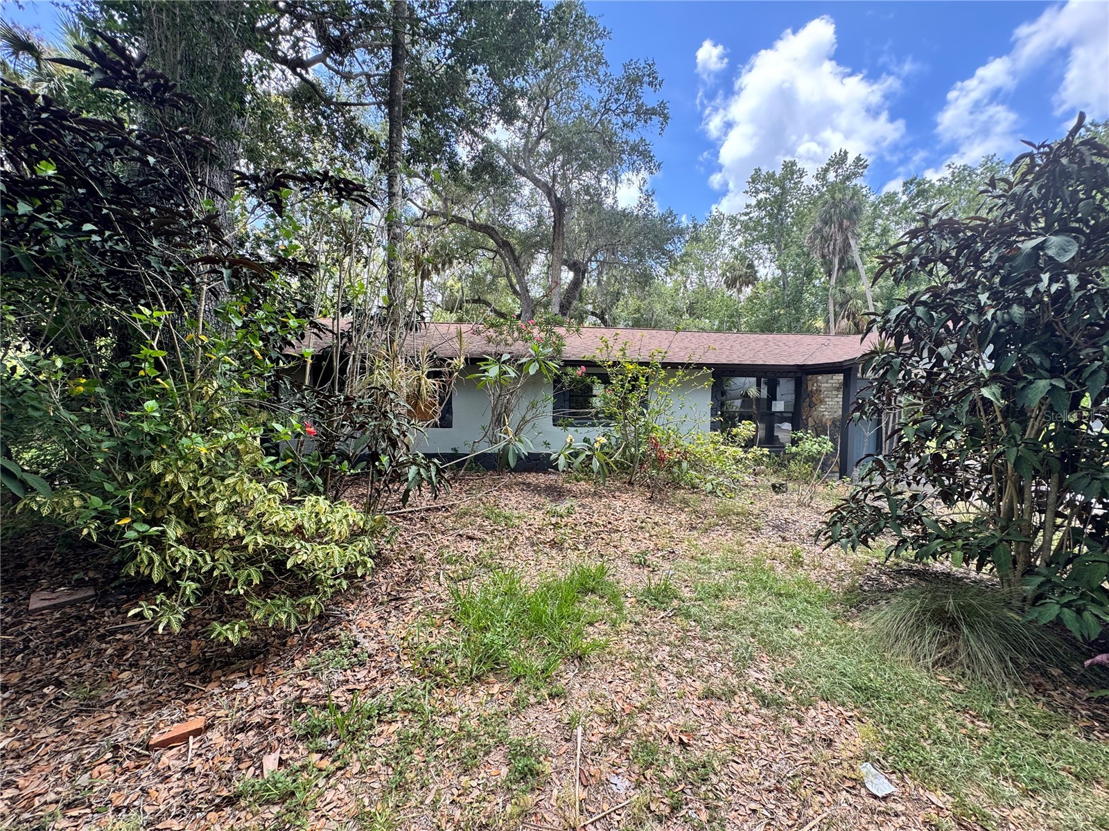 9010 Maiden Lane Aripeka FL 34679 TB8520038 image12