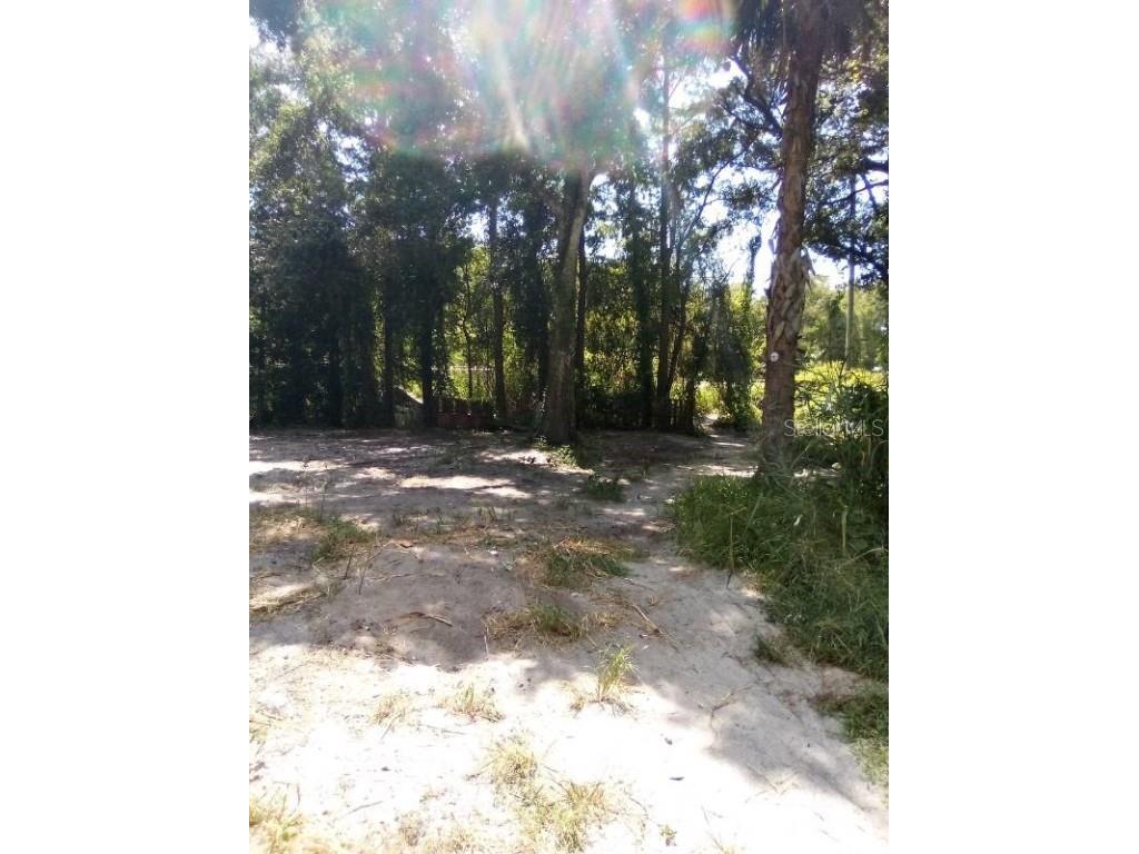 9010 Peony Street New Port Richey FL 34654 TB8414240 image10