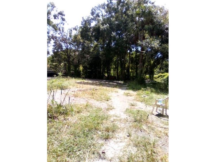 9010 Peony Street New Port Richey FL 34654 TB8414240 image11