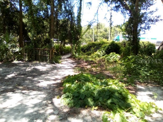 9010 Peony Street New Port Richey FL 34654 TB8414240 image13