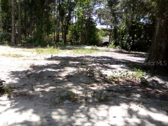 9010 Peony Street New Port Richey FL 34654 TB8414240 image14