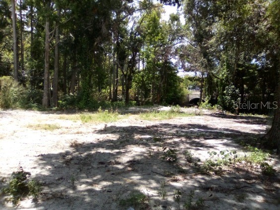 9010 Peony Street New Port Richey FL 34654 TB8414240 image15