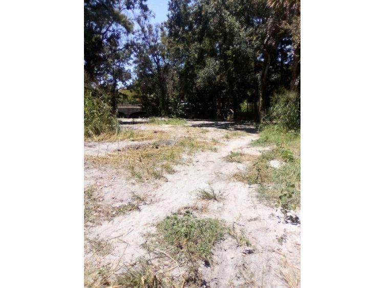 9010 Peony Street New Port Richey FL 34654 TB8414240 image16