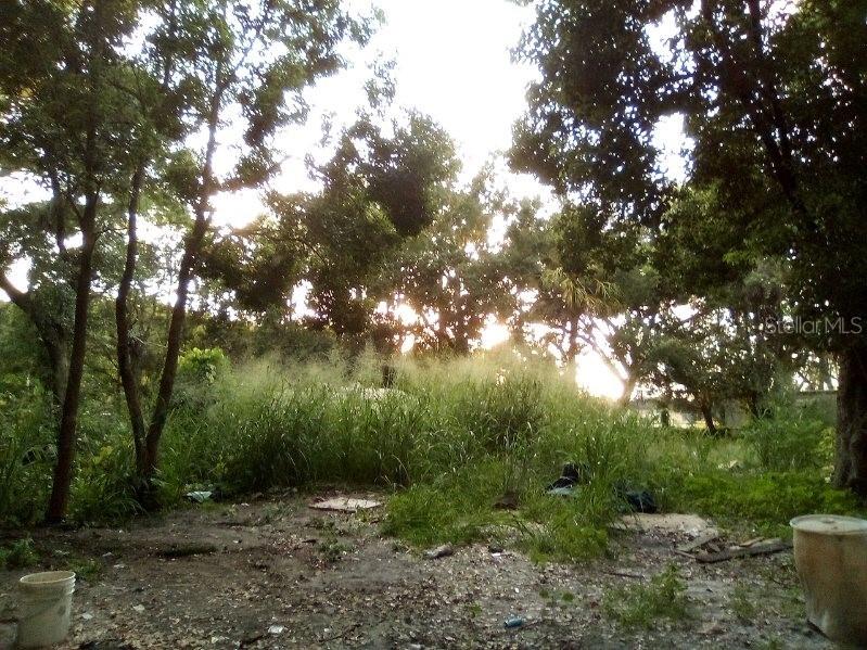 9010 Peony Street New Port Richey FL 34654 TB8414240 image2