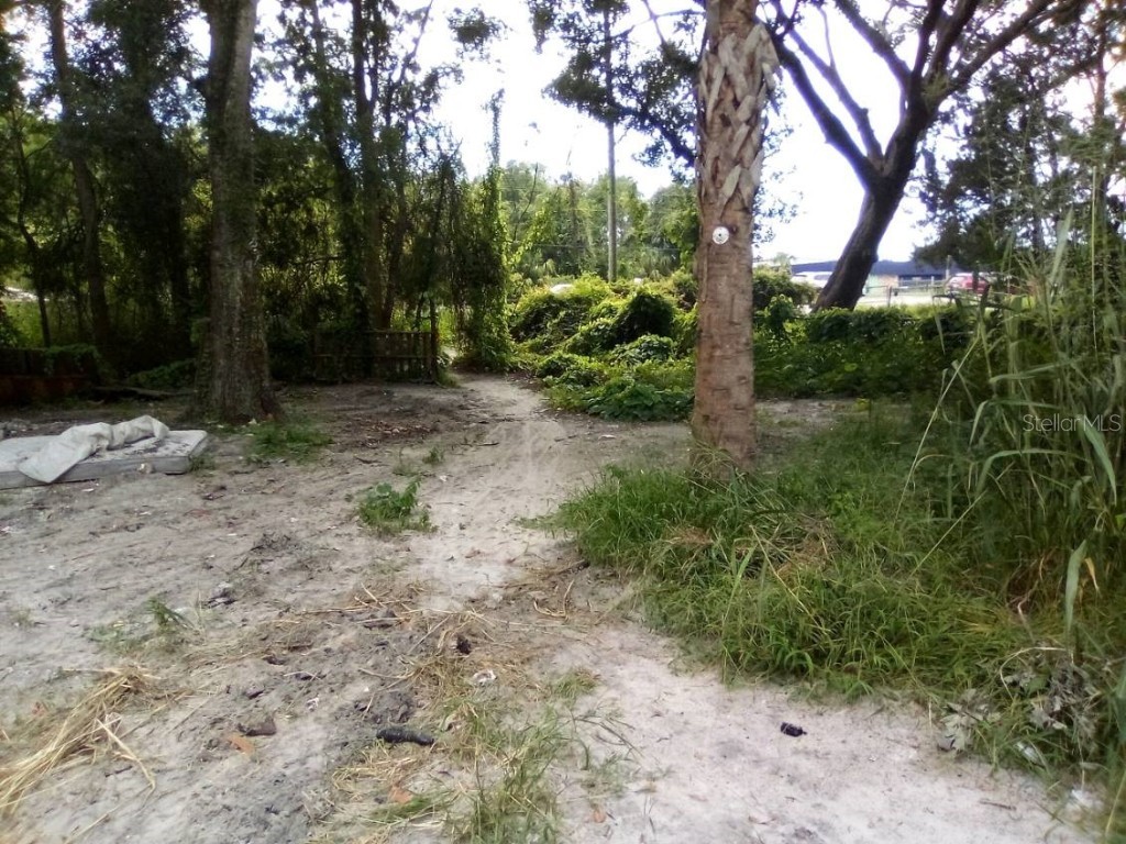 9010 Peony Street New Port Richey FL 34654 TB8414240 image3