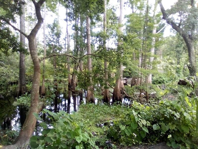 9010 Peony Street New Port Richey FL 34654 TB8414240 image4