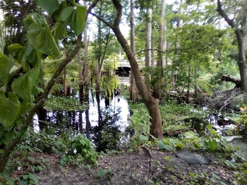 9010 Peony Street New Port Richey FL 34654 TB8414240 image6