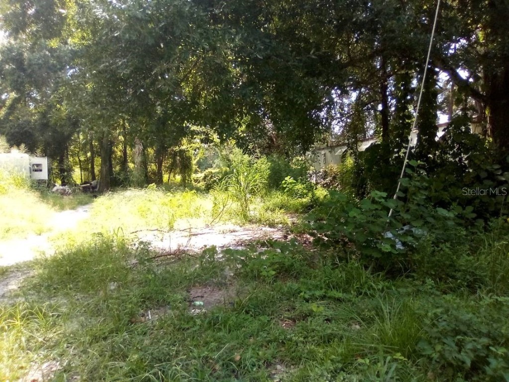 9010 Peony Street New Port Richey FL 34654 TB8414240 image7