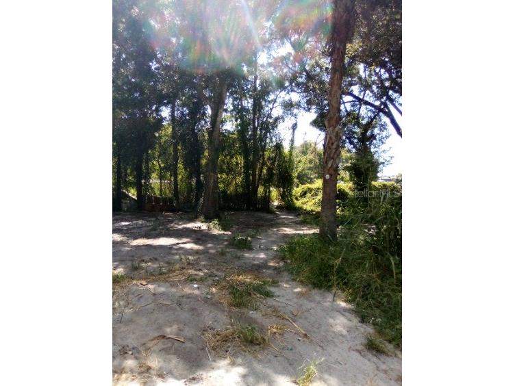 9010 Peony Street New Port Richey FL 34654 TB8414240 image8