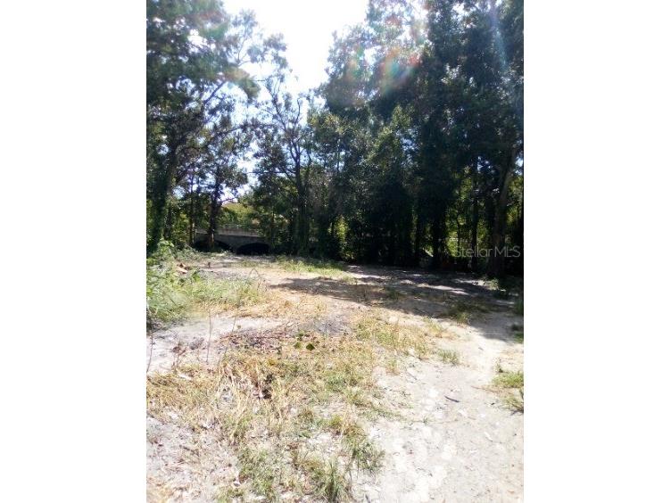 9010 Peony Street New Port Richey FL 34654 TB8414240 image9