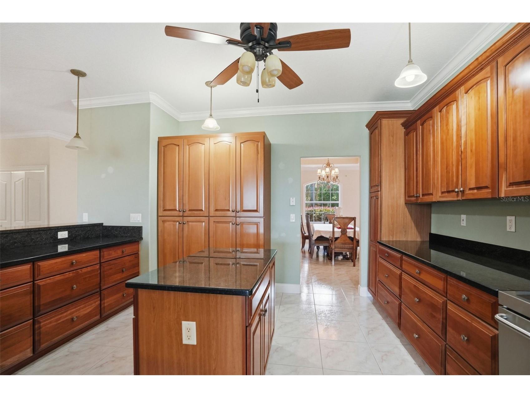 9011 Foxdale Lane Spring Hill FL 34608 - WEEKI WACHEE PRAIRIE LAKE W7886485 image34