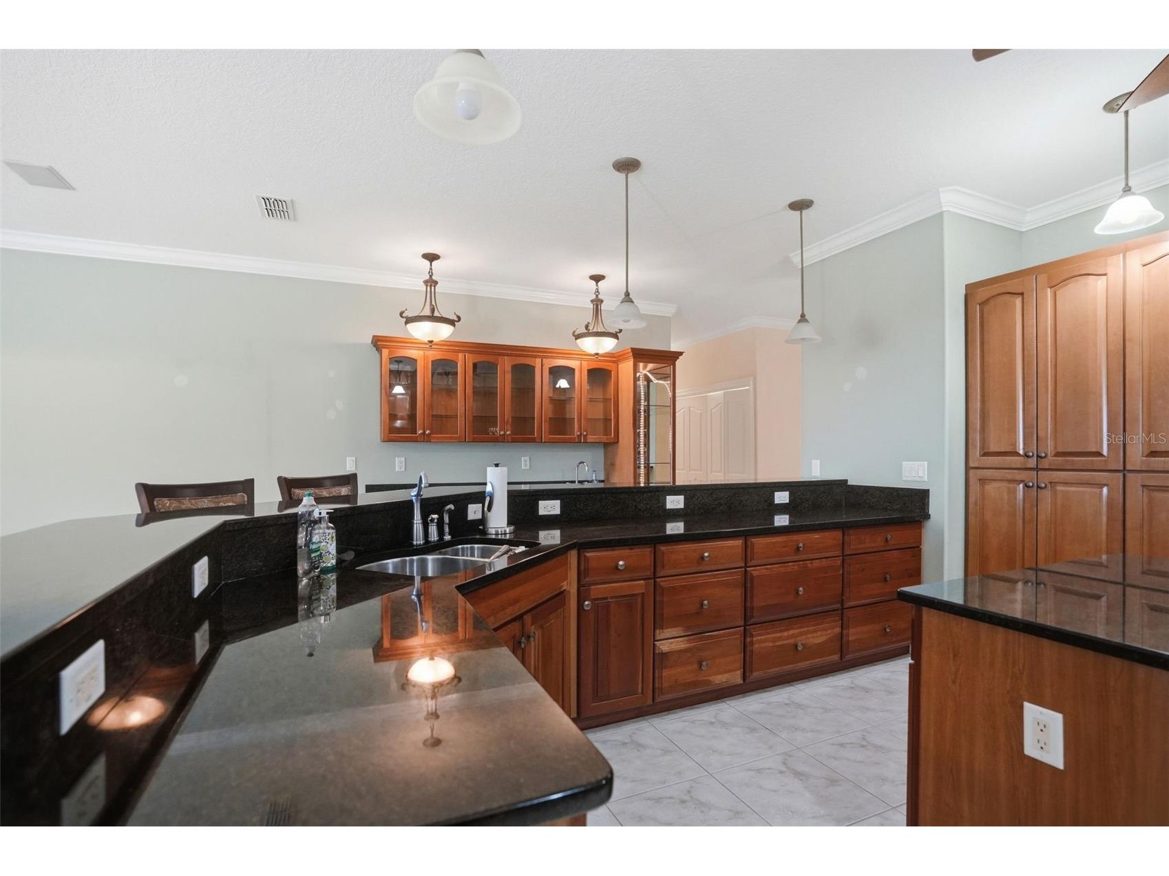 9011 Foxdale Lane Spring Hill FL 34608 - WEEKI WACHEE PRAIRIE LAKE W7886485 image35