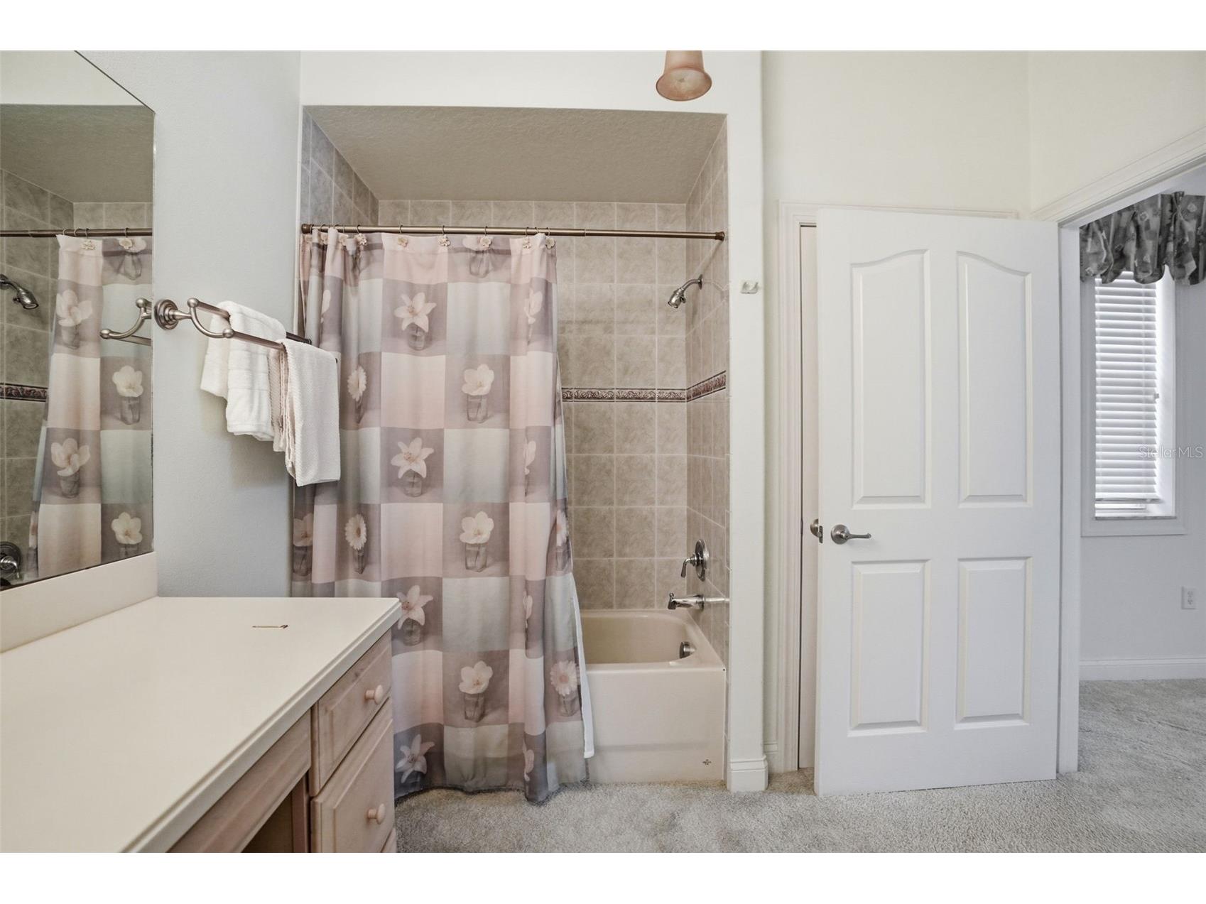 9011 Foxdale Lane Spring Hill FL 34608 - WEEKI WACHEE PRAIRIE LAKE W7886485 image67