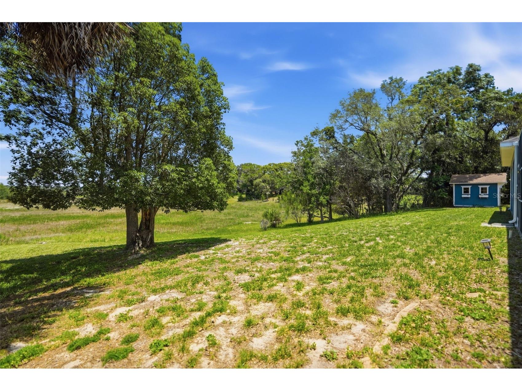 9011 Foxdale Lane Spring Hill FL 34608 - WEEKI WACHEE PRAIRIE LAKE W7886485 image79