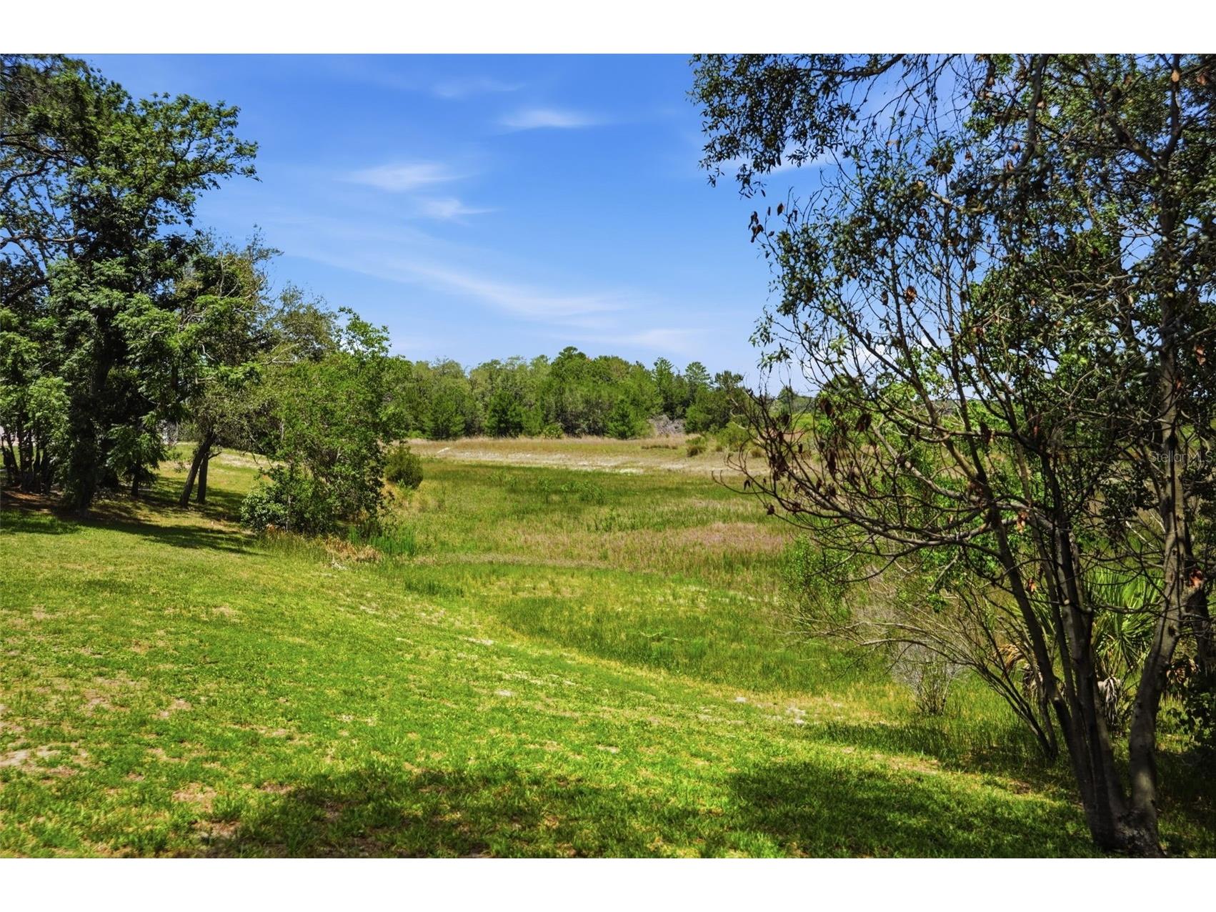 9011 Foxdale Lane Spring Hill FL 34608 - WEEKI WACHEE PRAIRIE LAKE W7886485 image85