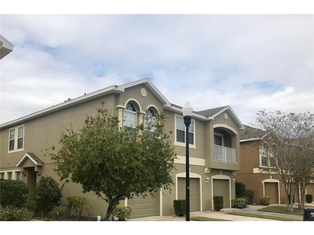 9011 Moonlit Meadows Loop Riverview FL 33578 T3520349 image1