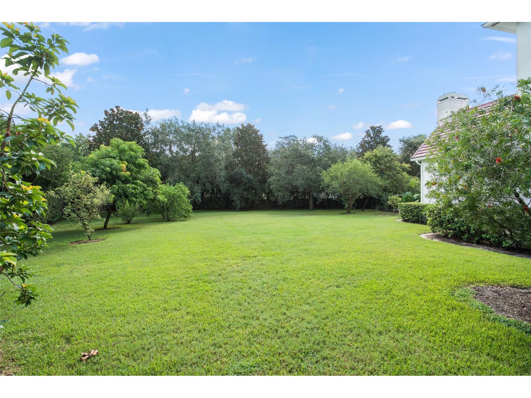 9011 Pinnacle Circle Windermere FL 34786 O6400872 image43