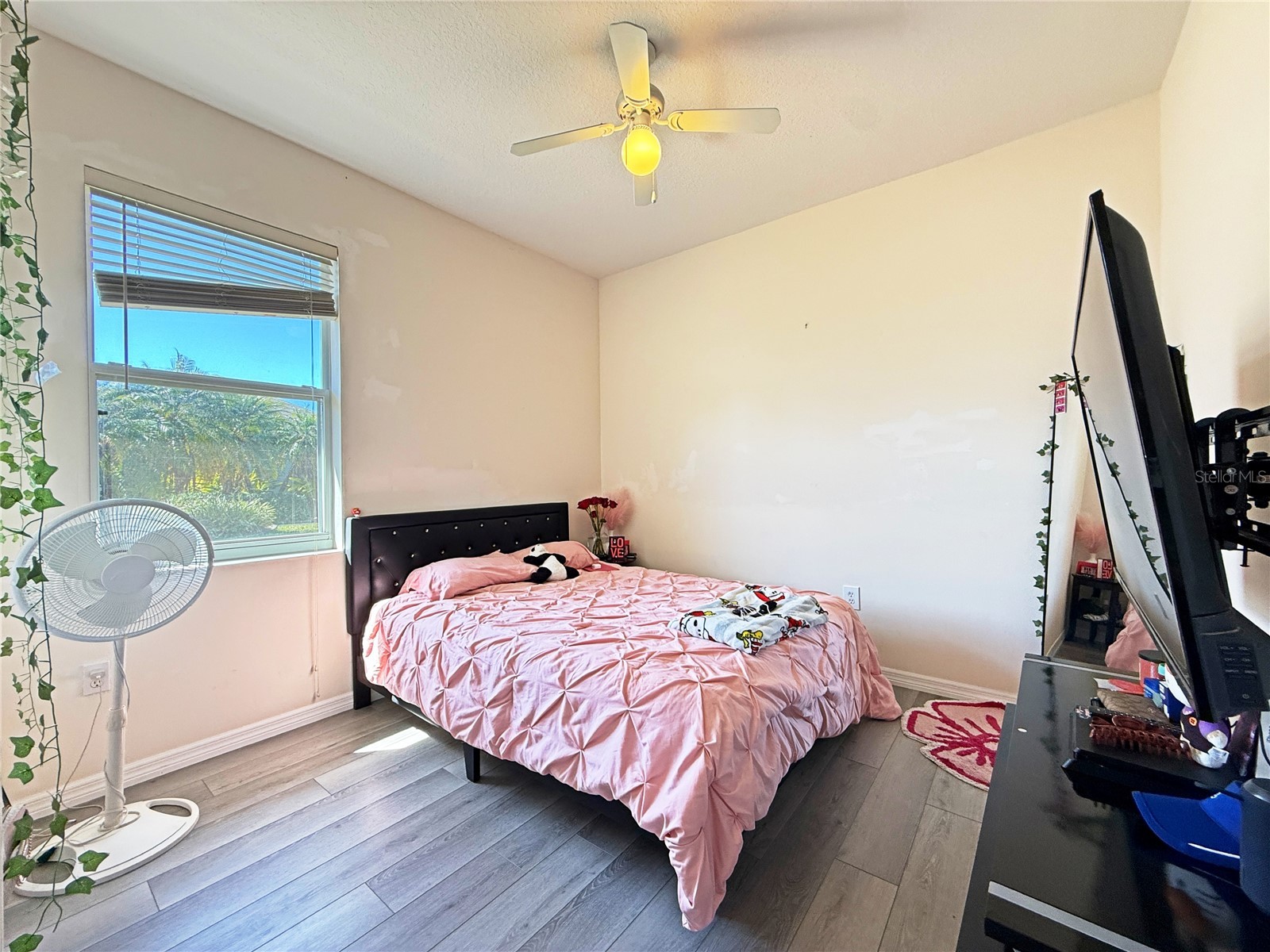 9011 Province Street Sarasota FL 34240 TB8486094 image28