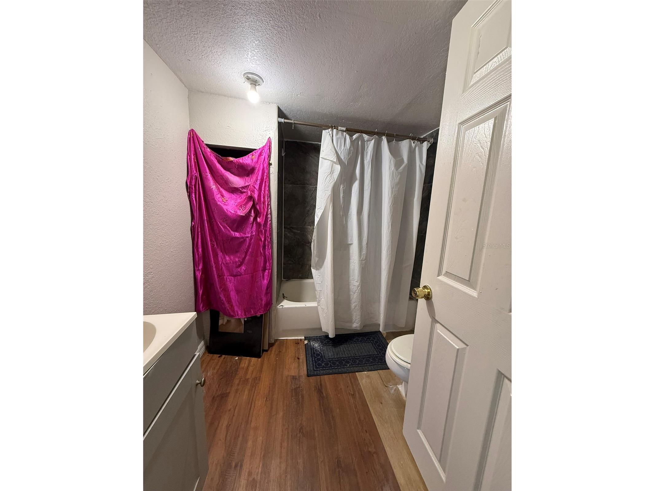 9013 Burr Drive Polk City FL 33868 S5142744 image11