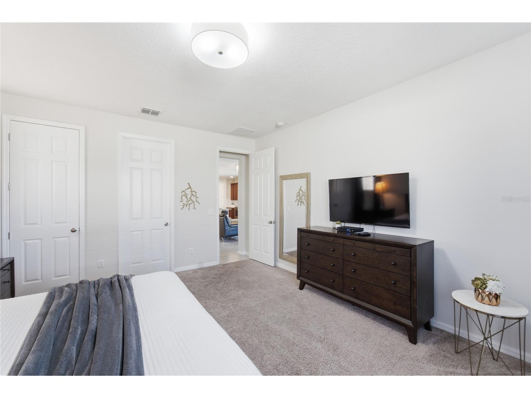 9013 Egret Mills Terrace Kissimmee FL 34747 O6385765 image14