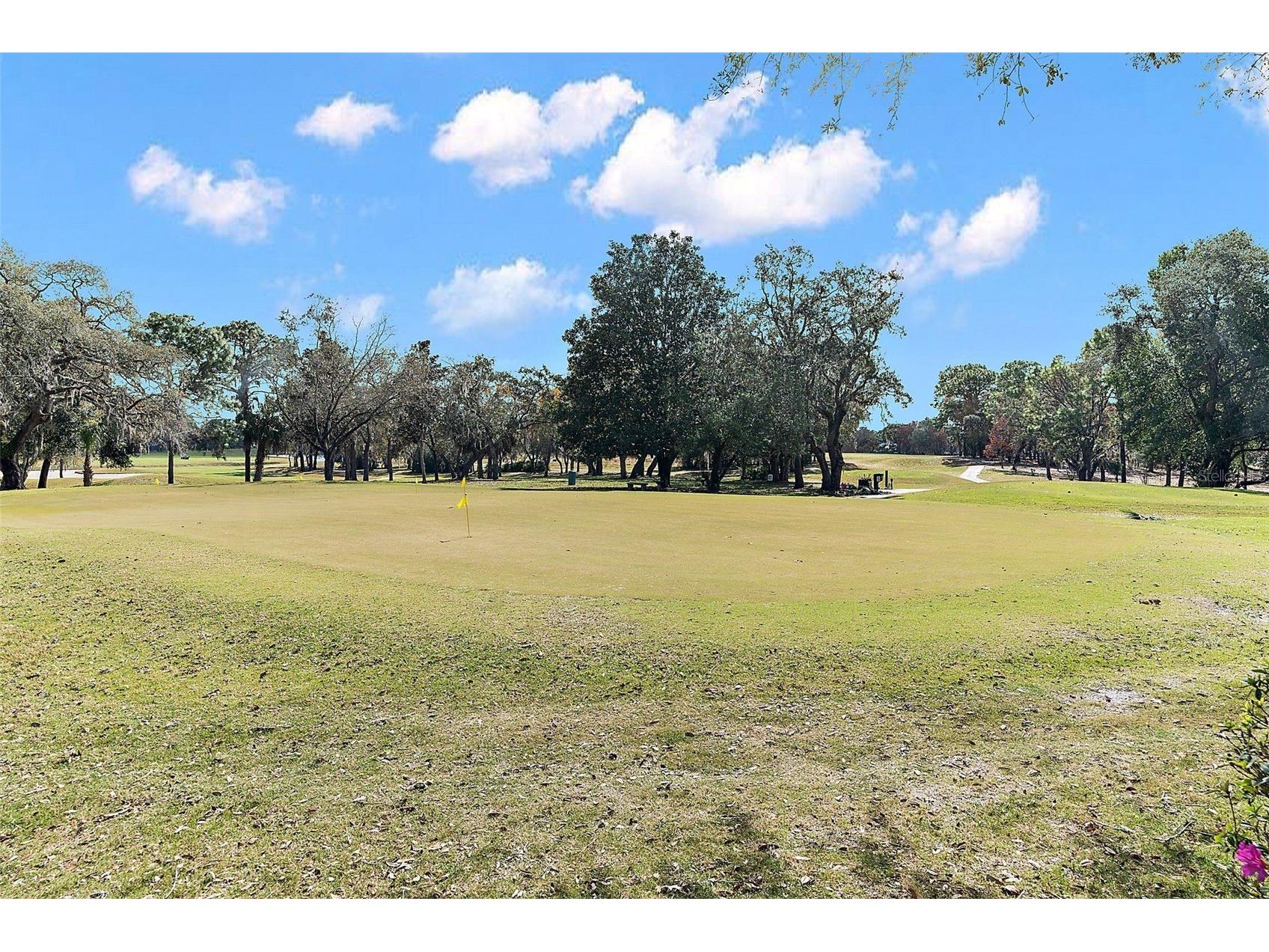 9013 Mississippi Run Brooksville FL 34613 TB8461725 image55