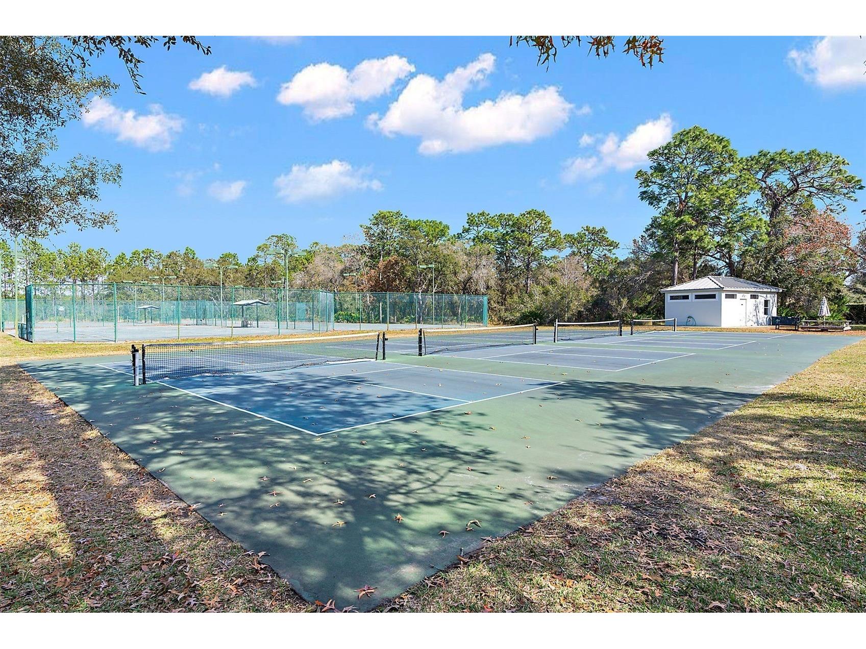 9013 Mississippi Run Brooksville FL 34613 TB8461725 image59