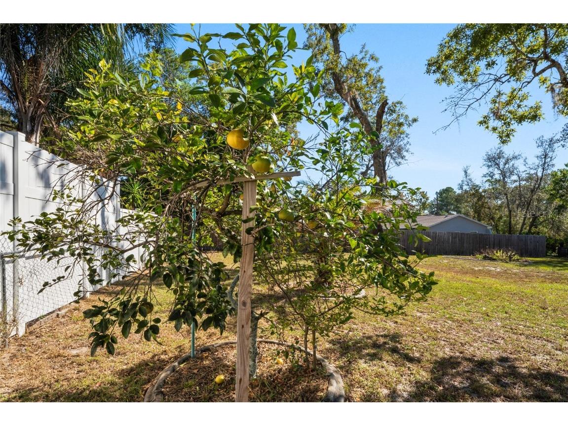 9013 Nakoma Way Weeki Wachee FL 34613 W7880742 image48