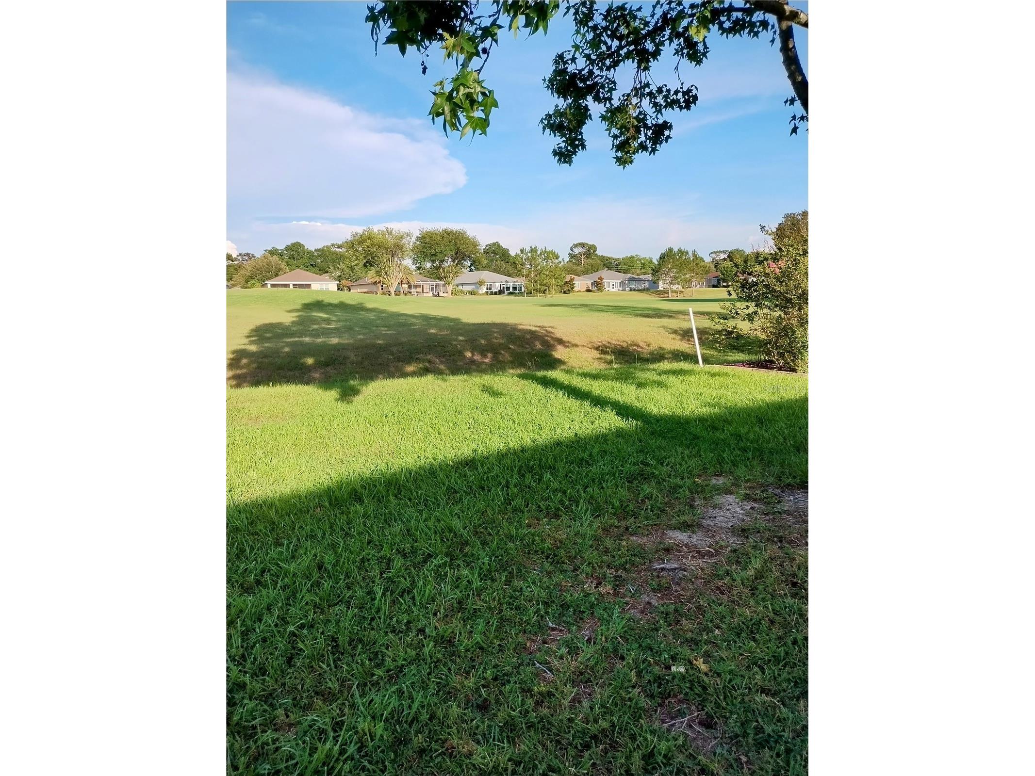 9013 SW 91st Circle Ocala FL 34481 OM724326 image12