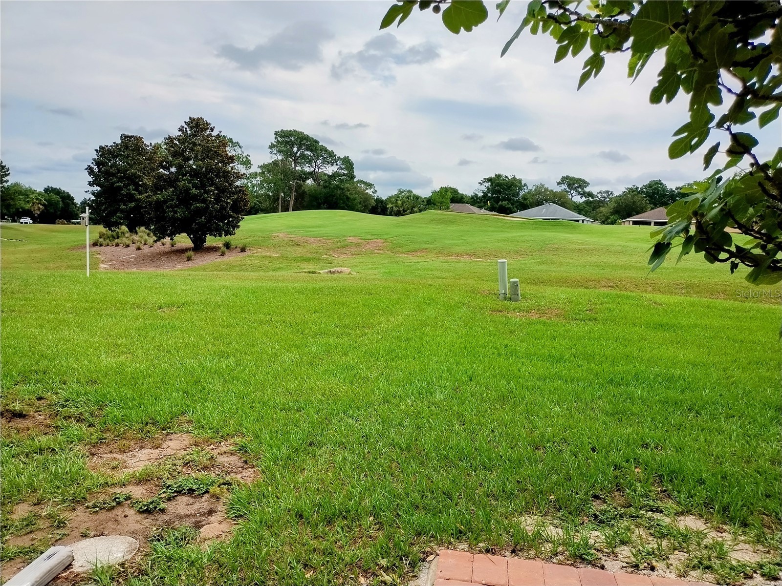 9013 SW 91st Circle Ocala FL 34481 OM724326 image15