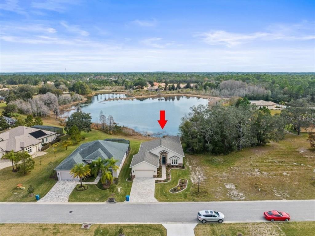 9013 Trevino Drive Weeki Wachee FL 34613 W7860949 image1