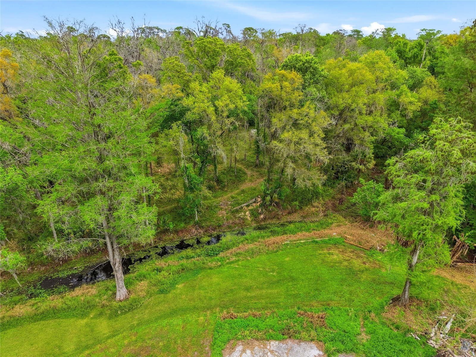 9014 122nd Avenue Tampa FL 33637 - COWHOUSE CREEK TB8477204 image16
