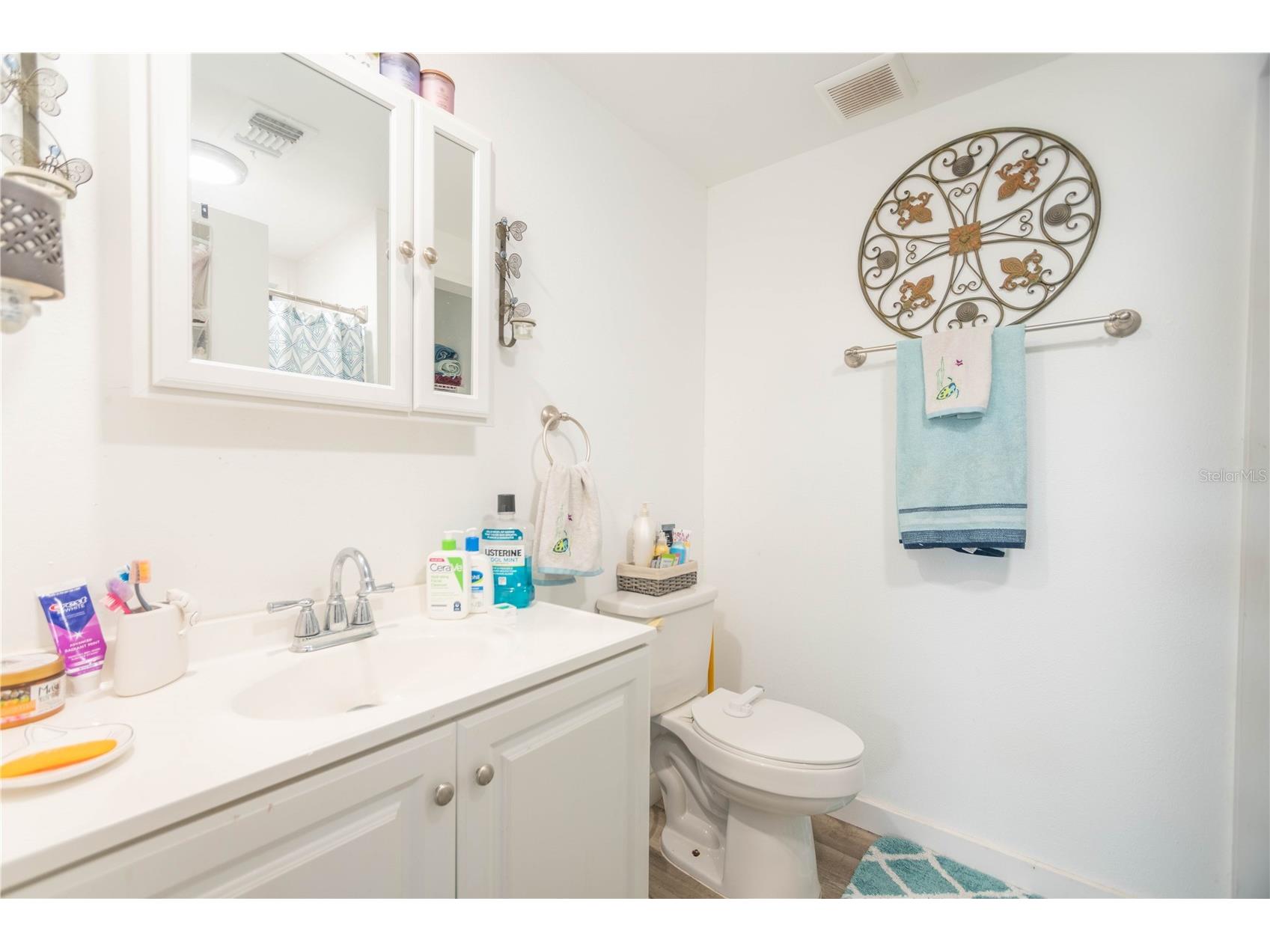 9015 Sarah Drive Polk City FL 33868 TB8467944 image16