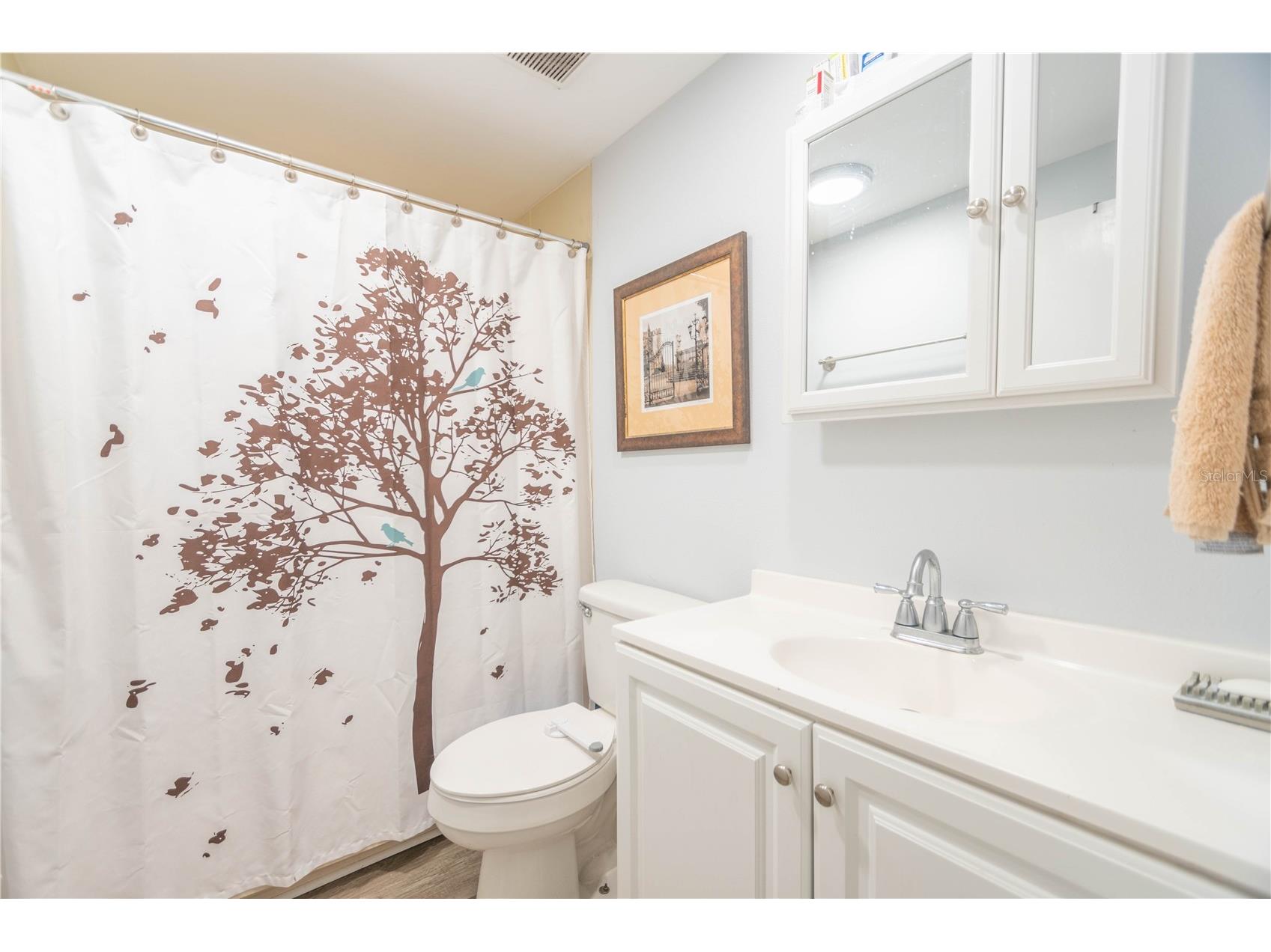 9015 Sarah Drive Polk City FL 33868 TB8467944 image23