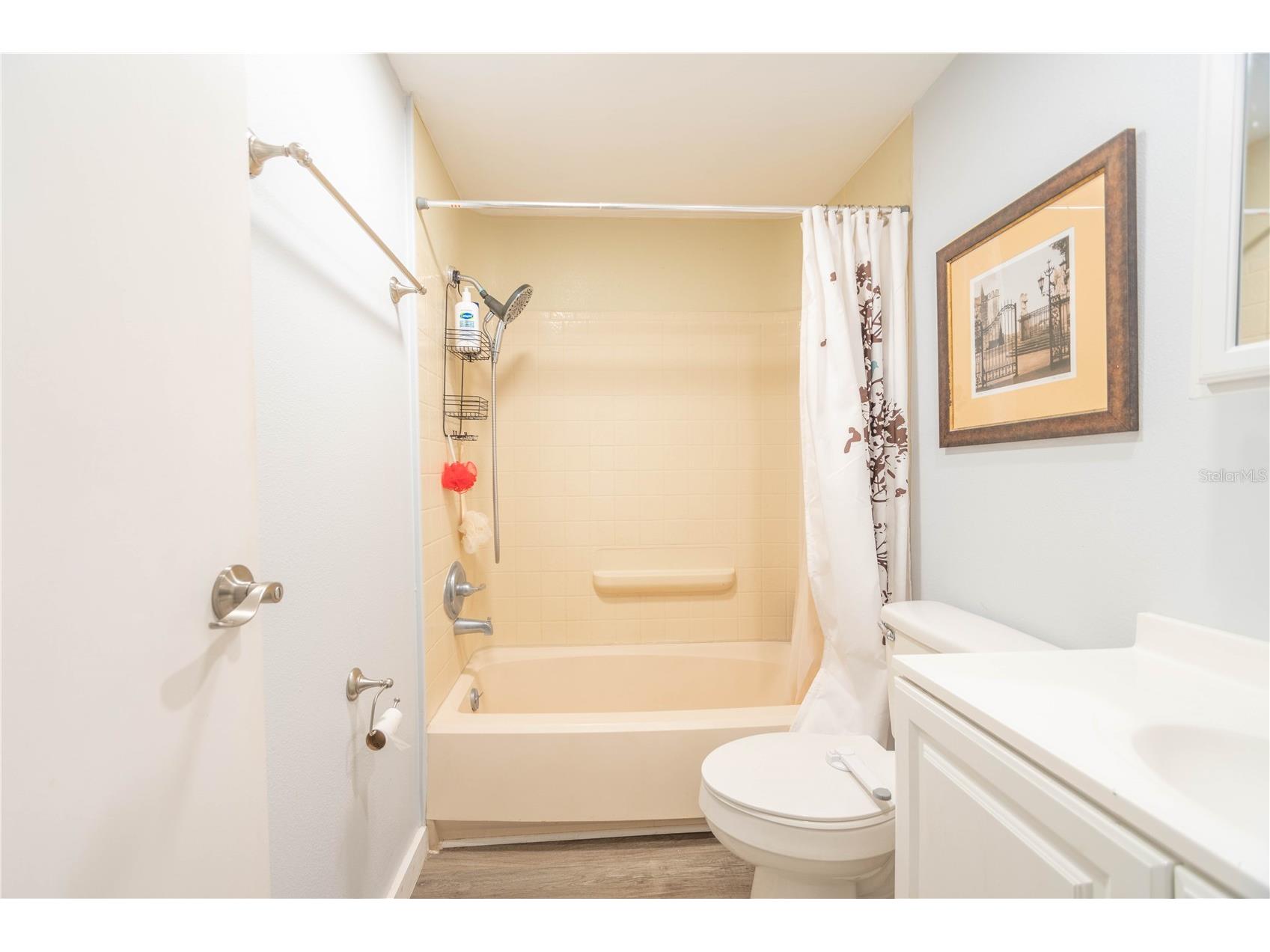 9015 Sarah Drive Polk City FL 33868 TB8467944 image24